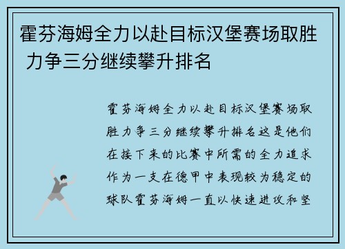 霍芬海姆全力以赴目标汉堡赛场取胜 力争三分继续攀升排名